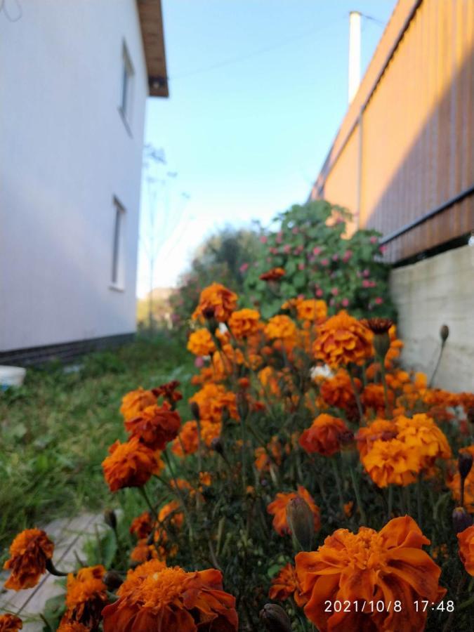 Nestg Guest House Pilipets Exteriör bild