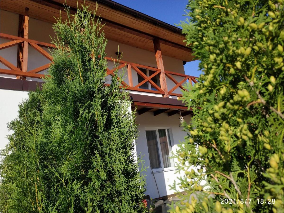 Nestg Guest House Pilipets Exteriör bild