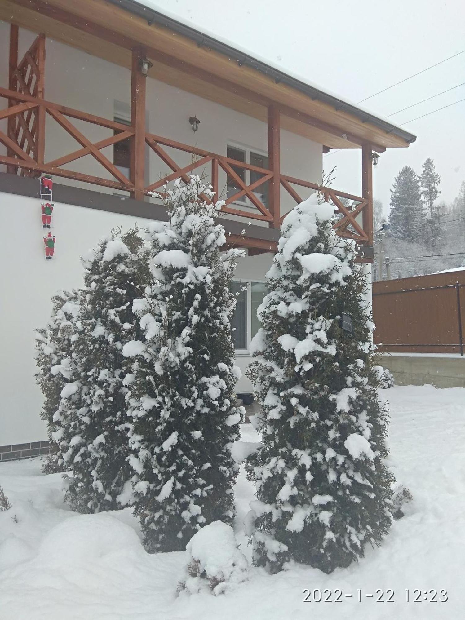 Nestg Guest House Pilipets Exteriör bild